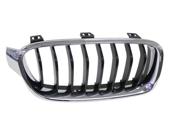 BMW Kidney Grille - Passenger Side 51137260498